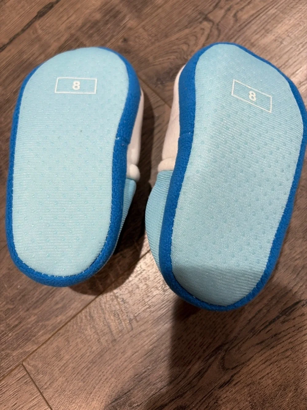Blue’s Clues slippers